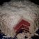 Cooksnap dari Bunda Reza Dan Naura untuk resep Red Velvet Steam Cake
