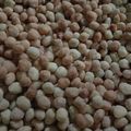 Cooksnap dari M. Aulia Miftahuddin untuk resep Kacang telur renyah dan manisnya pas.