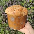 El cooksnap de Valen Rossi cuando hizo Panettone salado.