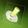 Aysher Babangida (Ayshert Cuisines)'s cooksnap of when they made Cucumber and ginger drinks.