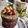 El cooksnap de Adriana Gamarra cuando hizo `` mug cake saludable ``.