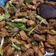 Cooksnap dari Rhee untuk resep Babi Kecap Manado