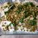 El cooksnap de Romina cuando hizo Vitel tone fácil.