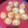 El cooksnap de stechi cuando hizo Scones de queso.