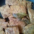 Cooksnap dari Mey's Cila untuk resep Tempe Bacem Super Enak