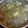 Cooksnap από τανια βασιλης στη συνταγή Χοιρινό με αρακά, πράσο και καρότο