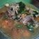 Cooksnap dari Chenny Mareista untuk resep Sop iga sapi