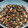 El cooksnap de Xus cuando hizo Alubias con calamares en su tinta.