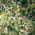 Cooksnap dari Astri Lestari untuk resep Urap Sayur