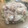 El cooksnap de Rocio Pintos cuando hizo Salsa Parisienne.