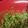 Lakin's cooksnap of when they made Guacamole.