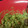 Lakin's cooksnap of when they made Guacamole.