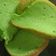 Cooksnap dari Fitri Handayani untuk resep Chiffon Pandan Keju
