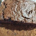 Cooksnap dari Merry Patricia untuk resep 158. Banana Chocolate Bread