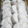 Cooksnap dari Febe Ribka Rambi untuk resep Putri Salju premium special