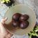 Cooksnap dari Any Widiyanti untuk resep Pindang Telur Teh Celup