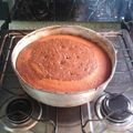 El cooksnap de fabiana meneses cuando hizo Torta marmolada o de chocolate ♡.