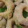 Cooksnap dari Lisa Veronika untuk resep Pare Tepung Renyah