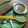 Naina Bhojak's cooksnap of when they made મિક્સ ઢોસા (Assorted Dosa Recipe In Gujarati).