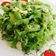 Cooksnap của Ng.T.Gái khi họ làm theo món Mướp đắng xào trứng