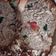 El cooksnap de majose1957 cuando hizo Pan Dulce tipo Clásico - Receta Blanca Cotta.