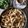 Dave rita's cooksnap of when they made વણેલા ગાંઠિયા (Vanela Ganthiya Recipe In Gujarati).