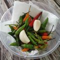Cooksnap Ahlia Syed Firdaus semasa beliau membuat Tips : Kekalkan Kesegaran Cili Padi.