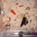 Cooksnap dari Tieka Firman Yuriansyah untuk resep Nasi Liwet Teri Medan Ricecooker