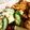 Sally Strong's cooksnap of when they made Greek Pork Souvlaki with Greek Salad and Flatbread.