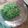 Cooksnap dari Mama Zahran untuk resep Selai Srikaya Pandan