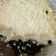 Cooksnap dari Caecilia Vitri Hapsari untuk resep Cheesecake oreo simple
