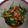 Dwi Yuli's cooksnap of when they made Tumis Kangkung Saus Tiram ala Resto (tips biar warnanya hijau).