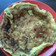 Cooksnap dari Novi Herawati untuk resep TELUR DADAR SEDERHANA