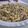 Cooksnap dari Eva Ariestyanti untuk resep Macaroni and cheese