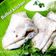 Bulbul Sarraf का कुकस्नैप जब उन्होंने चावल के आटे का चीला (chawal ke aate ka cheela recipe in Hindi) बनाया था।