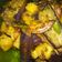 Cooksnap dari santi untuk resep Sambal cabe hijau