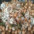 El cooksnap de Sandra cuando hizo Wok de garbanzos con gulas salteados.