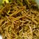 Jyotsanaa का कुकस्नैप जब उन्होंने वेज हक्का नूडल्स (veg hakka noodles recipe in Hindi) बनाया था।