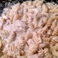Loliana77's cooksnap of when they made Alysse's Crockpot Italian Chicken.