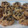 El cooksnap de Eva Sinmas cuando hizo Galletas de avena con chocolate negro.
