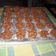 Cooksnap dari ummuHafidz untuk resep Kue Bengbeng