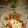 El cooksnap de Martin cuando hizo Pollo a la pizza con Roquefeler.
