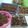 Cooksnap dari Pawon Bunda Gibran untuk resep Martabak Mini / anti gagal (bersarang)