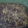 Cooksnap dari Anaya Fatmawati untuk resep Brownies coklat panggang