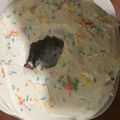 El cooksnap de Laverizza cuando hizo Torta de zanahoria y coco❤.