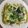 El cooksnap de Jhonatan A. Hernandez lazarin cuando hizo Enchiladas verdes con pollo.