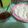 Cooksnap dari Eviana Furry untuk resep Rujak Cireng