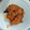 Cooksnap dari hesty puspitasari untuk resep Cue Tongkol Balado
