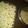 Shiuri's cooksnap of when they made Homemade popcorn #one recipe one tree.