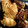 El cooksnap de Anamari cuando hizo Trenzas de brioche al chocolate.